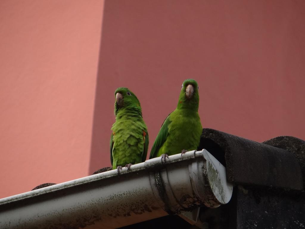 Pousada Da Mantiqueira Visconde De Maua Exteriör bild